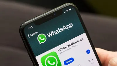 Как скопировать ссылку на WhatsApp Business | Wazzup