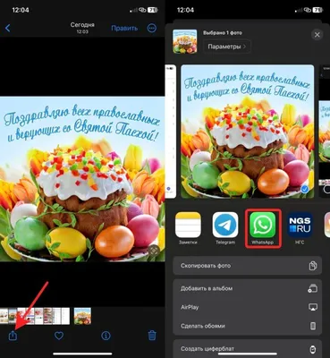 Где скачать и как отправить открытку через WhatsApp на iPhone |  AppleInsider.ru