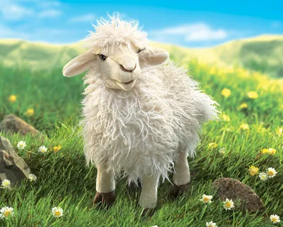 овечка стоковое фото. изображение насчитывающей овечка - 18898550