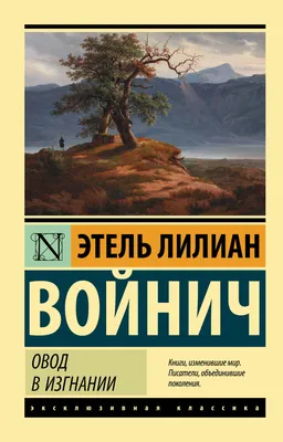 Оводы - человеческий кожный овод (лат. Dermatobia hominis)