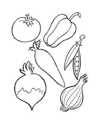 Одна Линия Рисования Фруктов И Овощей — стоковая векторная графика и другие  изображения на тему Абрикос - Абрикос, Арбуз, Банан - iStock