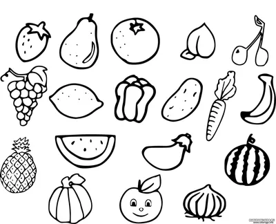 Контурные рисунки овощей (59 фото) » Рисунки для срисовки и не только