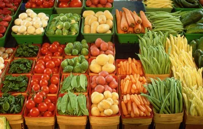 Вектор фруктов и овощей помидор изображение_Фото номер 401336497_CDR Формат  изображения_ru.lovepik.com