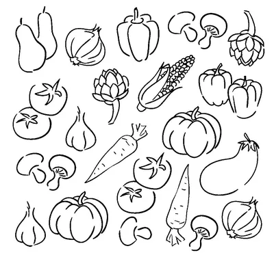 Овощи и фрукты, вектор фон Иллюстрация Stock | Adobe Stock