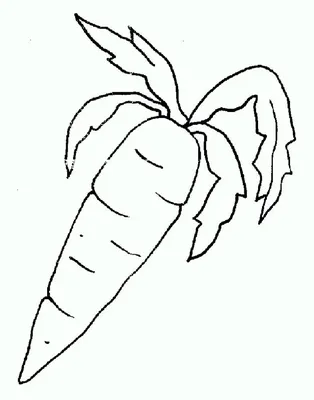 Рисунки для срисовки милых овощей (70 фото) ✏