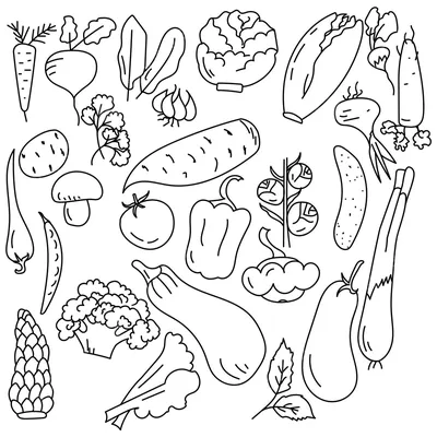 Рисунки овощей, растений и еды... :: Behance