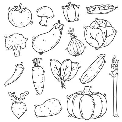 Овощи Фрукты И Ягоды — стоковая векторная графика и другие изображения на  тему Рисунок карандашом - Рисунок карандашом, Тыква, Баклажан - iStock