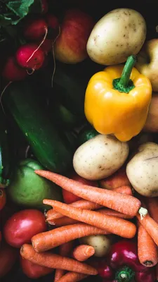 Все овощи полезны или нет – ответ врача | РБК Украина