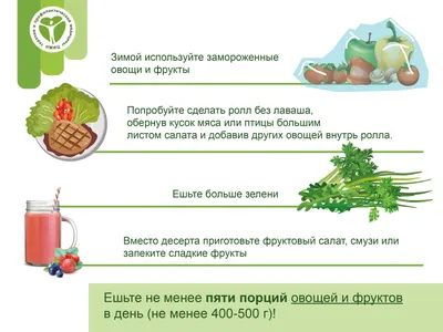 Современные хранилища для овощей и фруктов. Технологии из Австрии | АППЯПМ