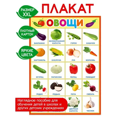 Обучающий постер-плакат для начальной школы и детского сада \"Овощи\" -  купить с доставкой по выгодным ценам в интернет-магазине OZON (634234698)