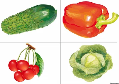 Овощи и зелень Развивающие карточки — купить книги на русском языке в  DomKnigi в Европе