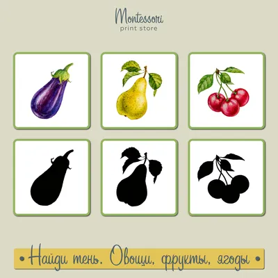 Купить постер (плакат) Фрукты, овощи, ягоды на стену для интерьера