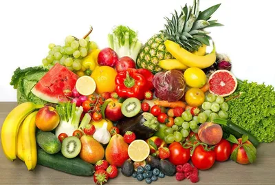 Звуковой плакат «Рыжий кот» Фрукты, овощи, ягоды, грибы, размер 47,5*59см —  купить в интернет-магазине по низкой цене на Яндекс Маркете