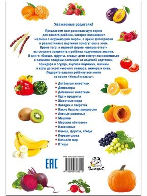 Книга Овощи, фрукты, ягоды - купить в Книги нашего города, цена на  Мегамаркет