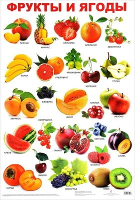 Овощи фрукты ягоды для детей | Овощи, Для детей, Ягоды
