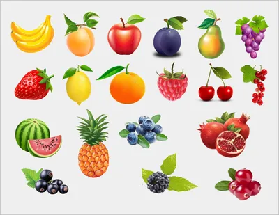 Огород: овощи, фрукты, ягоды. Шаблоны для создания игр на липучках. - Мой  знайка
