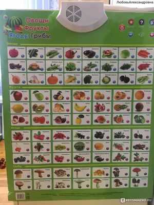 Овощи и Фрукты для детей! Развивающие мультики для самых маленьких! -  YouTube