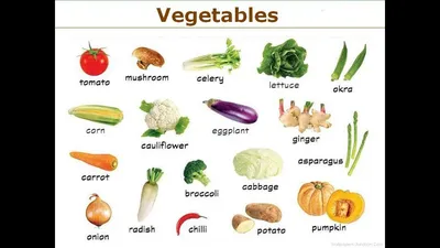 Иллюстрация карточки для изучения английского языка (овощи) в стиле