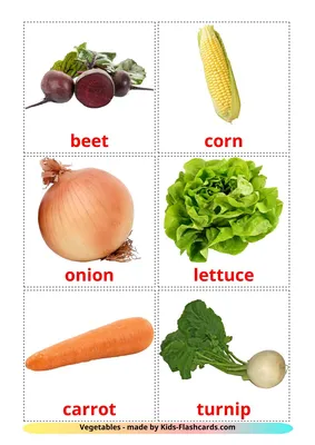 Описание овощей на английском языке - LmPicDic