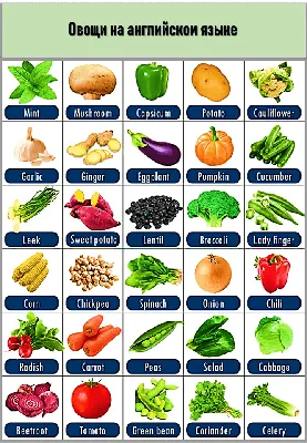 Овощи на английском языке с переводом и транскрипцией