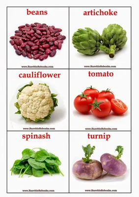 овощи на английском языке картинки | Vegetable pictures, Vegetable chart,  List of vegetables