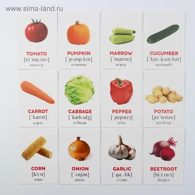 РАЗВИТИЕ РЕБЕНКА: Карточки Овощи на английском языке | Food flashcards,  Flashcards, Vegetables