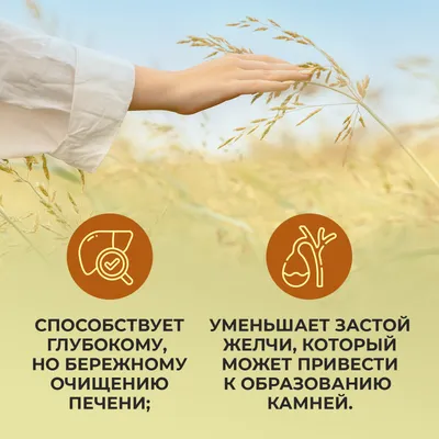 Зерно овса пищевое «Mini Colorie» для заваривания, 400 г купить в Минске:  недорого, в рассрочку в интернет-магазине Емолл бай