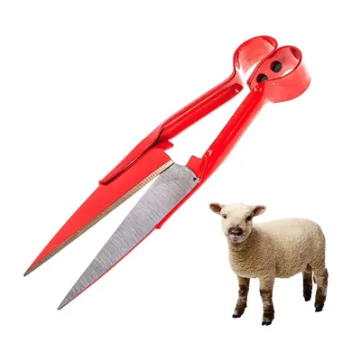Фигурка SCHLEICH Овца купить по цене 1 ₽ в интернет-магазине Детский мир