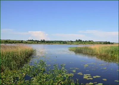 Реки и озера Сочи: топ-7 мест, где можно спрятаться от летнего зноя |  Sobaka.ru