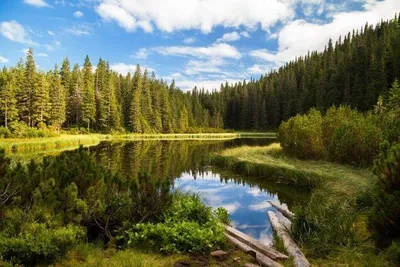 Экскурсии на Голубые озера Казани в 2024 году🧭 цены от 400 руб. на  январь—февраль 2024 года.