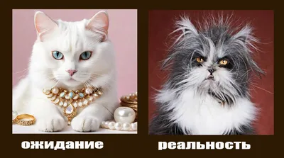 Дети: ожидание и реальность | Дети, Ребенок, Развивающие игры
