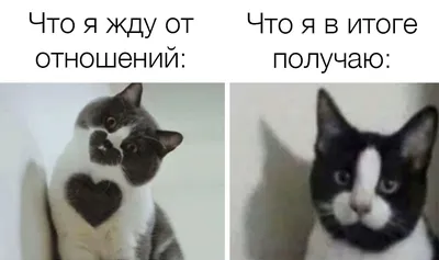 ОЖИДАНИЕ — РЕАЛЬНОСТЬ — МСПО :: Московский студенческий педагогический отряд