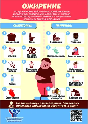 Жители Коми узнают, чем опасно ожирение | Комиинформ