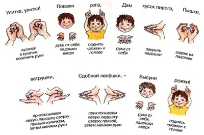 Пальчиковая игра \"Кулачок\" - Пальчиковые игры | Пальчиковые игры,  Гимнастика для малышей, Для малышей