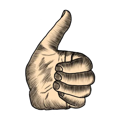 Большой Палец Вверх - Бесплатная векторная графика на Pixabay - Pixabay