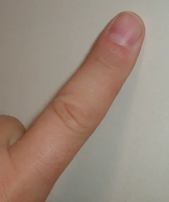 палец — Викисловарь