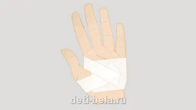 Жест рука палец PNG , рука, Рука, палец PNG рисунок для бесплатной загрузки