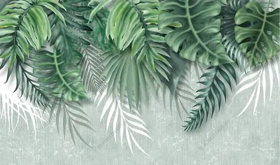 Яркие пальмовые листья, фон, тропики. Photos | Adobe Stock