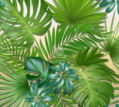 Фотообои Пушистые пальмовые листья на стену. Купить фотообои Пушистые пальмовые  листья в интернет-магазине WallArt