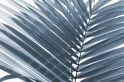 Искусственные Пальмовые Листья, искусственные Пальмовые Листья, тропические  большие Пальмовые Листья, зеленое растение для листьев, гавайская  вечеринка, 12 шт. | AliExpress