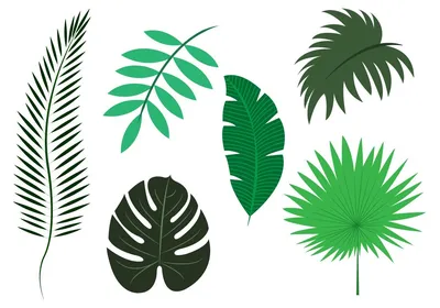 Купить Тропические Пальмовые Листья. Искусственные Пальмы. Ветви  Тропических Растений. | Joom