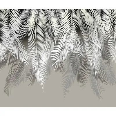 Купить фотообои \"Легкие пальмовые листья белые\" в интернет-магазине в Москве