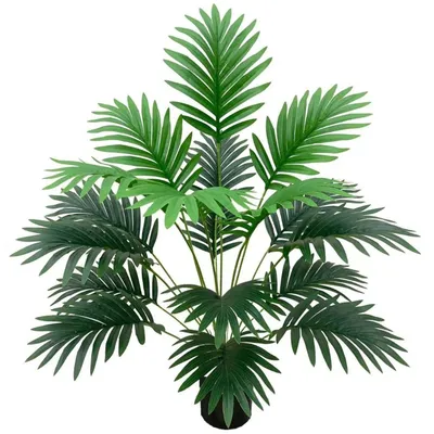 Фотообои Citydecor Пальмовые листья AIR 72 200x140 см (флизелиновые с  виниловым покрытием) - купить по выгодной цене в интернет-магазине OZON  (829108531)