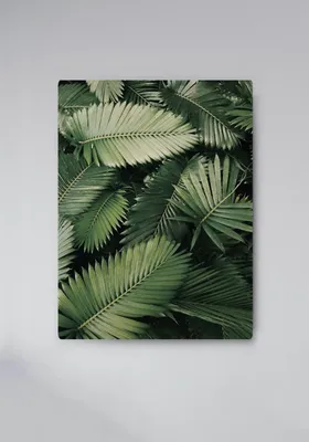 Фотообои Пальмовые листья купить на стену • Эко Обои