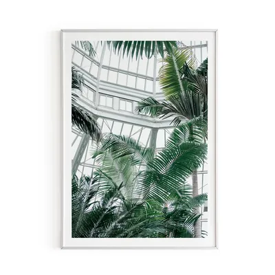 Купить фотообои Тёмные пальмовые листья арт. 121020 на стену: цены, фото,  каталог - интернет-магазин «LIKE»