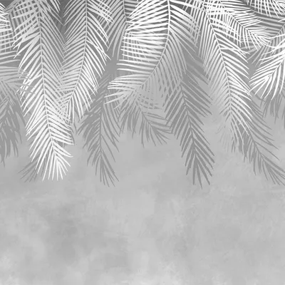 Фотообои \"Пальмовые листья, абстракция\" - Арт. 702177 | Купить в  интернет-магазине Уютная стена