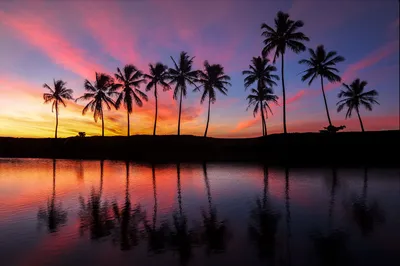 Закат на силуэте пляжа пальмы в океане. Стоковое Фото - изображение  насчитывающей рай, закат: 178283342