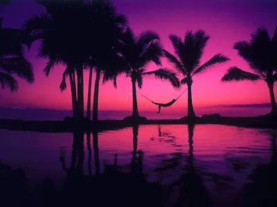 Красивый закат скачать на заставку телефона. | Обои на телефон пальмы,песок,море.  | Постила