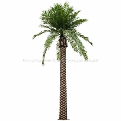 Финиковая пальма – украшение зимнего сада: Общество: Облгазета