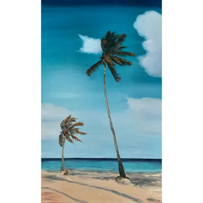 тропические пальмы PNG , лист, пальмовый лист, Пальма PNG картинки и пнг  PSD рисунок для бесплатной загрузки